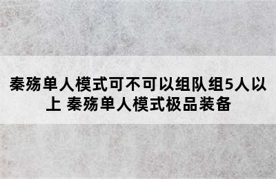 秦殇单人模式可不可以组队组5人以上 秦殇单人模式极品装备